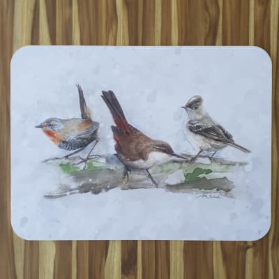 Individual Pájaros Nativos