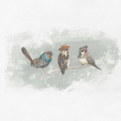 PAJARITOS AMIGOS