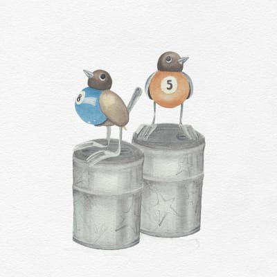 PAJARITOS BILLAR