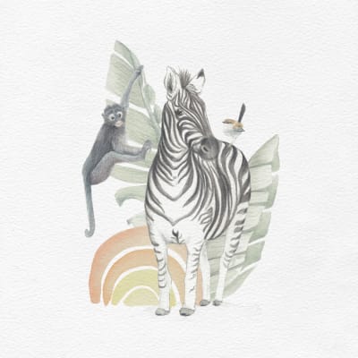 SAFARI CEBRA1