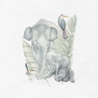 SAFARI ELEFANTE