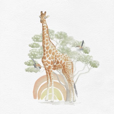 SAFARI JIRAFA
