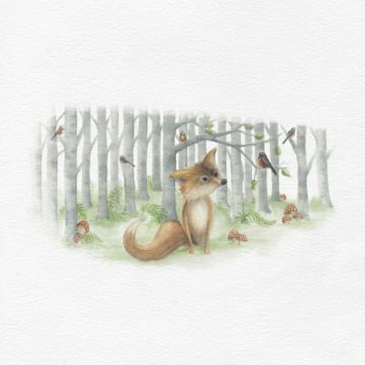 ZORRITO