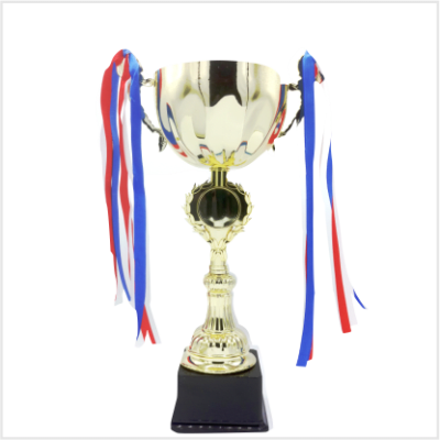 Copa CP10 B