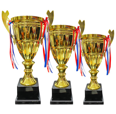 COPA CP500 TRIO1