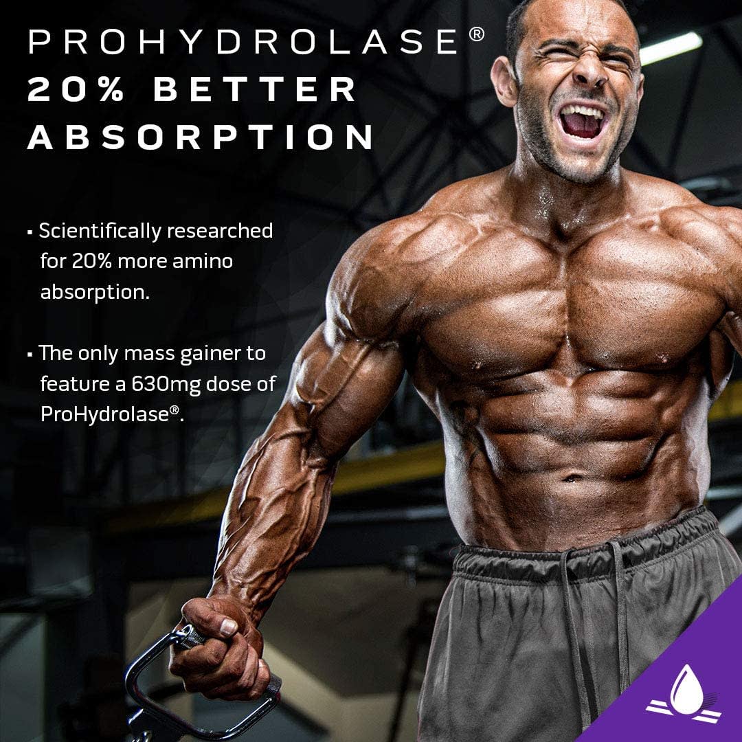 Mass Tech Elite 6lbs Muscletech5