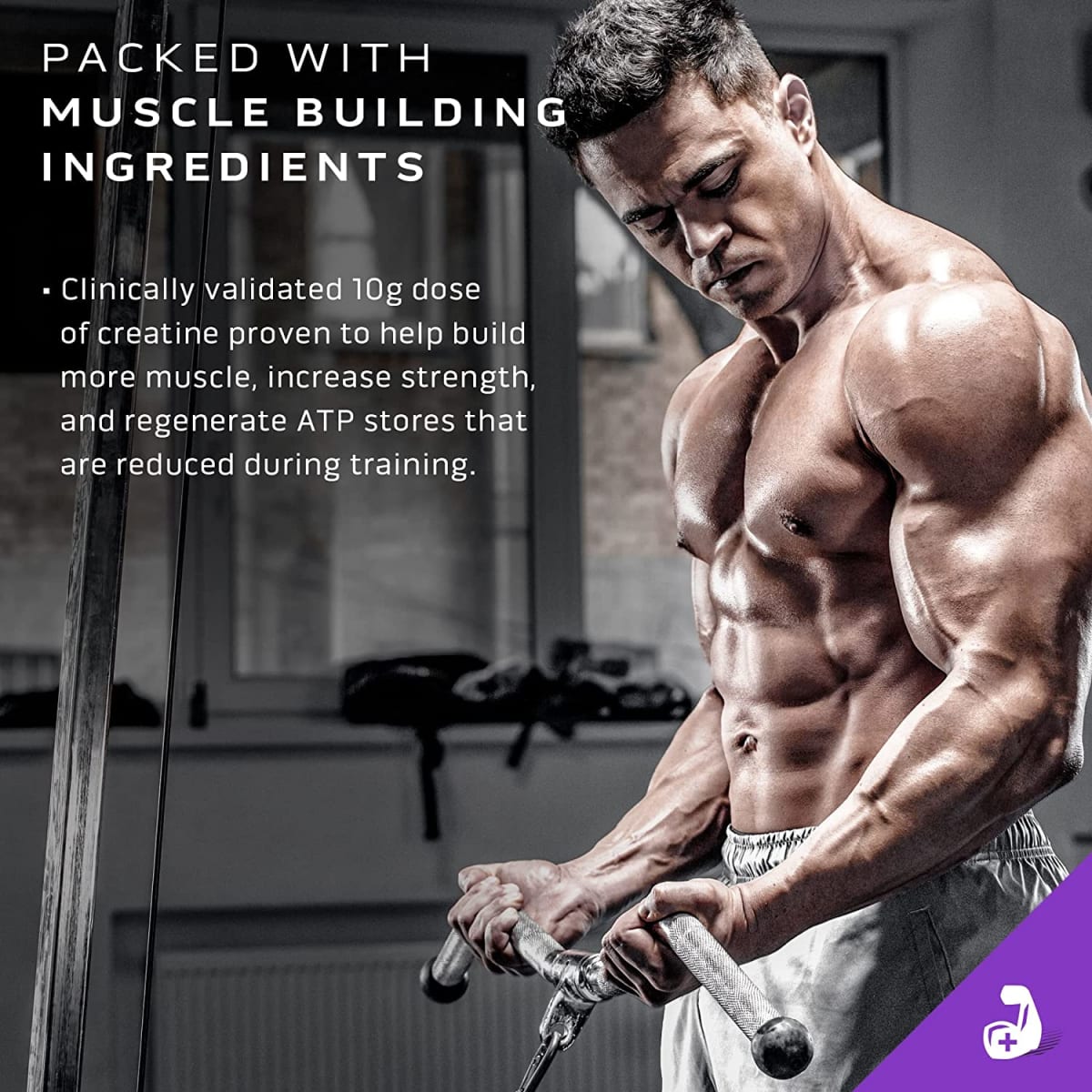 Mass Tech Extreme 2000 6 lbs7