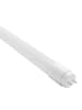TUBO LED VIDRIO 1200 mm1