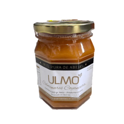 MIEL DE ULMO 500 GR