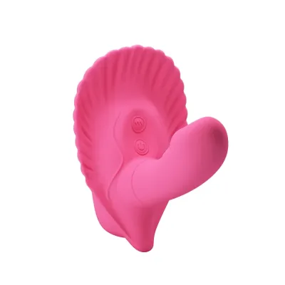 FANCY CLAMSHELL1