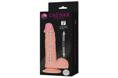 CAESAR1