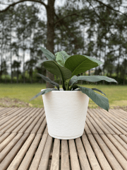 Macetero Brasil Genebra blanco 34x35 #0028