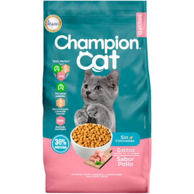 Champion Cat Gatitos 20 Kg1
