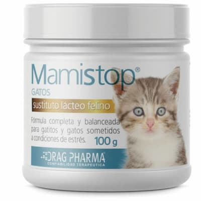 Mamistop Gatos 100 Gr1