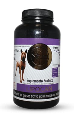 Lipocan 100 Gr