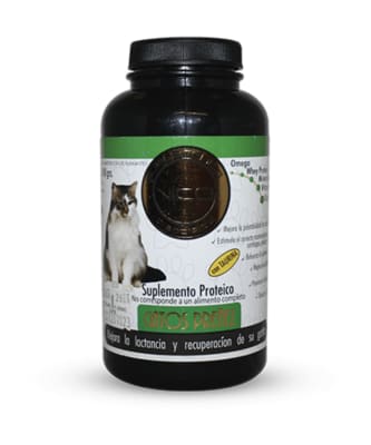 Vito Gato Preñez 100 Gr2