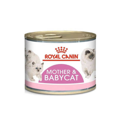 Lata Royal Canin Felino Mother And Babycat 145 Gr1