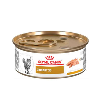 Lata Royal Canin Urinary S/O Feline  145 Gr