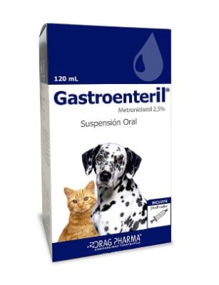 Gastroenteril Oral 120 Ml