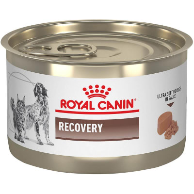 Recovery Canine / Feline Lata1