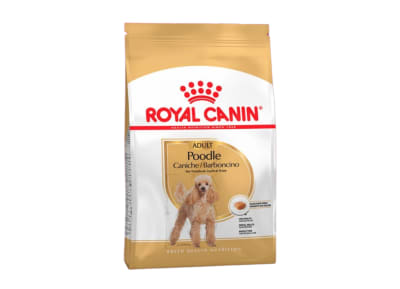 Royal Canin Poodle Adulto 3 Kg
