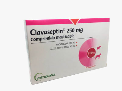 Clavaseptin 250 Mg 10 Comprimidos