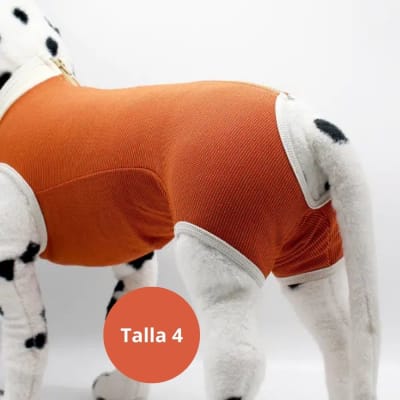 Body Castracion Talla 41