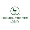 MIGUEL TORRES