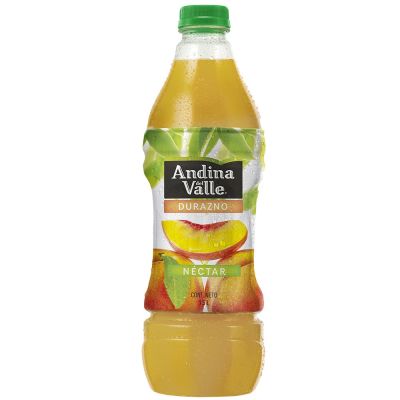 JUGO ANDINA PET
