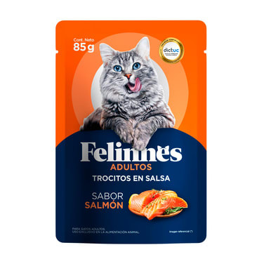 FELINNES