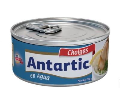 CHOLGAS ANTARTIC