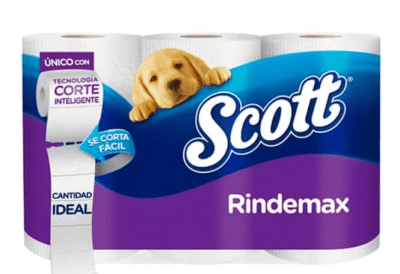 PAPEL HIG.SCOTT