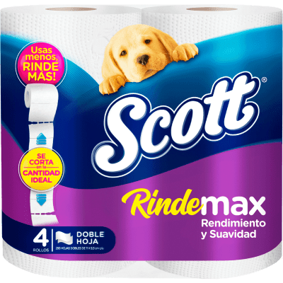 PAPEL HIG.SCOTT