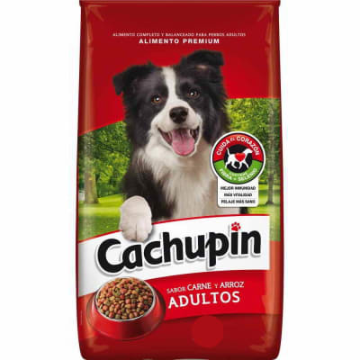 ALIMENTO CACHUPIN PERRO