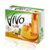 FLAN VIVO1