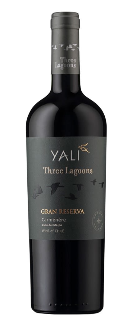 VENTISQUERO YALI RESERVA WETLAND4 VENTISQUERO YALI RESERVA WETLAND4