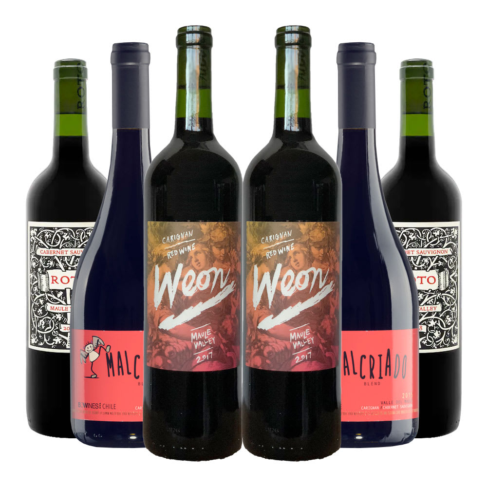 6 vinos Mix Chilenazo