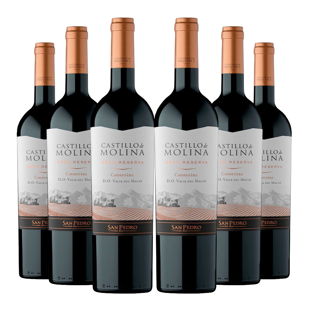 6 Vinos Castillo de Molina Carmenere