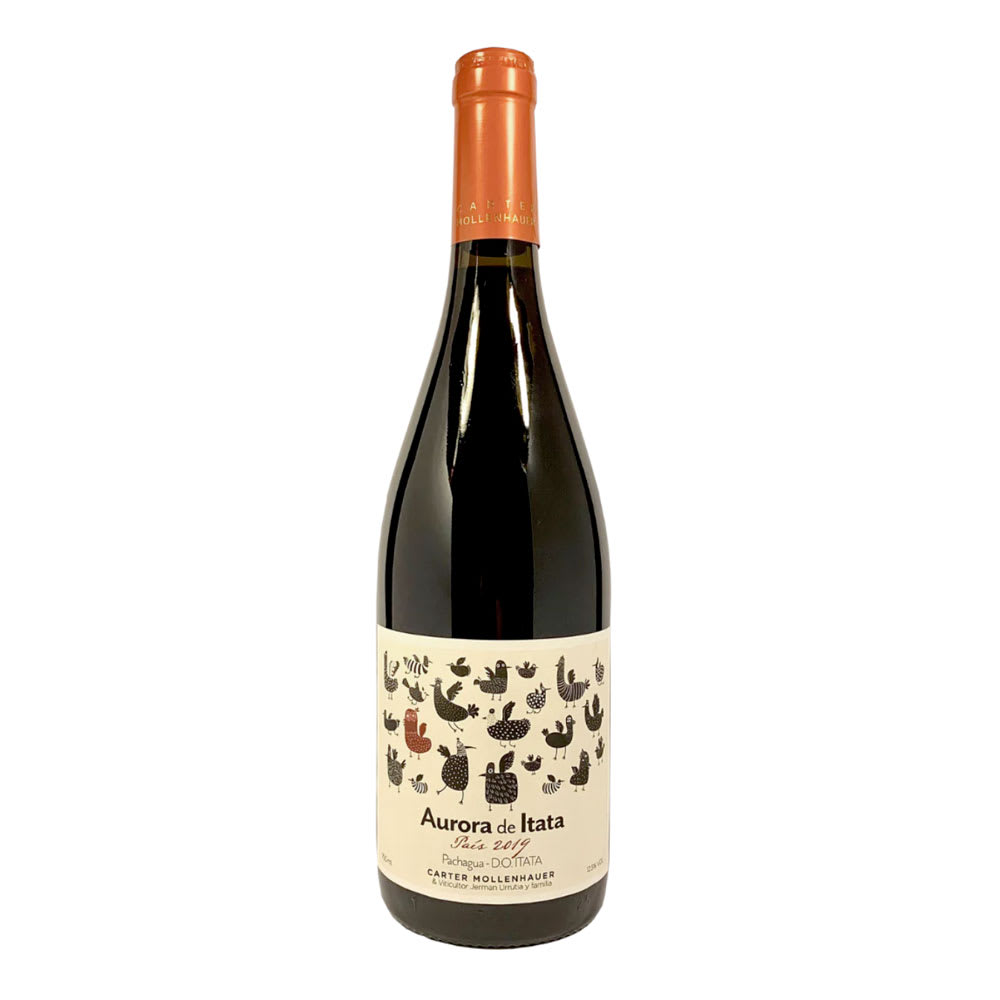 Vino Carter Mollenhauer Aurora de Itata Pais