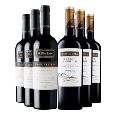 6 Vinos Golazo Sta Ema: 3 Gran Rva CA + 3 ST Rva CS