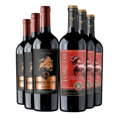 Vino Parrillero Pack: 3 Bestia Negra CA + 3 Toreto Rva CS