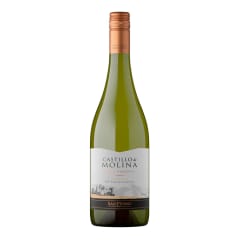 Vino Castillo de Molina Chardonnay