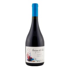 Vino Moretta Wines Carigno del Maule, Carignan