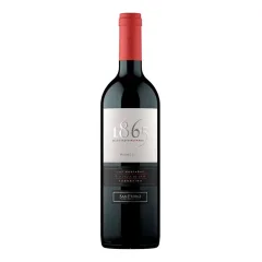Vino San Pedro 1865 Malbec