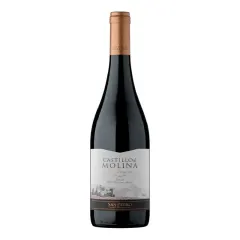 Vino Castillo de Molina Syrah