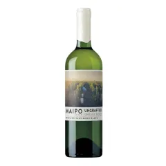 Vino De Martino Ungrafted Grave Soils Sauvignon Blanc