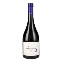 Vino Amayna Syrah