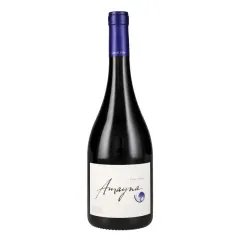 Vino Amayna Pinot Noir
