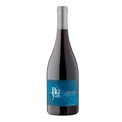 Vino Amayna Boya Pinot Noir