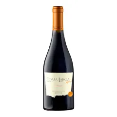 Vino Lomas del Valle Gran Reserva, Merlot